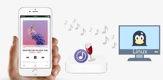 Two Ways To Stream Apple Music On Linux Sidify