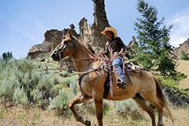 Maybe you would like to learn more about one of these? Cody Horseback Riding Horse Trail Rides Alltrips