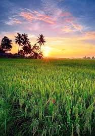 20+ gambar pemandangan, menikmati indahnya dunia ciptaan tuhan. Pesona Alam Indonesia Alam Yang Indah Latar Belakang Foto Alam