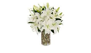 Maybe you would like to learn more about one of these? Amazon Com Never Forget Me Flowers For Sympathy Sympathy Flower Arrangements Sympathy Plants Same Day Sympathy Flowers Condolence Flowers Grocery Gourmet Food