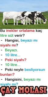 Inekler Komik Fikralar Komik Motivasyon