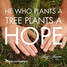 Write an email to your friend about the importance of learning english in all stages of life. Quotes About Plant Trees 60 Quotes
