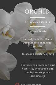 White Orchid Meaning White Orchids Symbolize Reverence Humility Innocence Humility Innocence Meani Orchid Meaning Sympathy Bouquets Flower Meanings