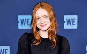 sadie sink lifestyle, wiki, net worth