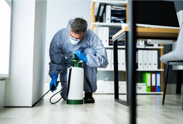 Termite Treatment Defense