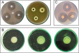 Chromatographic methods, natural products, test organisms. Methods For In Vitro Evaluating Antimicrobial Activity A Review Sciencedirect