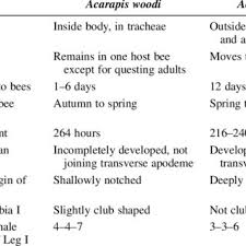 Hygiene, physical barriers, building practices. Pdf Parasitic Mites Of Honey Bees Life History Implications And Impact
