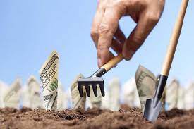 Daca dispui de teren fertil si consideri ca ai suficienta experienta, poti incerca cateva idei de afaceri in agricultura. Idei De Afaceri In AgriculturÄ 20 De Culturi Profitabile Care Se Pot InfiinÈa PrimÄvara