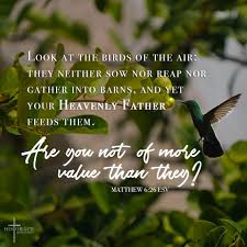 Look At The Birds Of The Air Verse If God Cares For The Birds How Much More Valuable Are You Therefore Don T Worry Be Hopeful Verseo Insparational Quotes Daily Bible Verse Christian Quotes