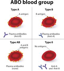 Facts About The Most Uncommon Blood Types You Probably Didn