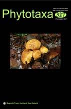 Image result for Abrodictyum rigidum