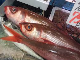 We did not find results for: Japanese Fish Japanese English Lexicon Regularly Amended Shizuoka Gourmet