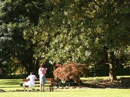 Albury Nsw Aussie Towns