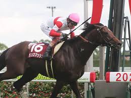 くらし・生活 / ラブコメ / ロマンス / 日常. é¦™æ¸¯ã‚¹ãƒ—ãƒªãƒ³ãƒˆ å‡ºé¦¬è¡¨ãŒç¢ºå®š ç«¶é¦¬ãƒ‹ãƒ¥ãƒ¼ã‚¹ãªã‚‰ ç«¶é¦¬ã®ãŠã¯ãªã—