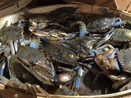 Best steamed crabs in westminster, md. The Crab Truck And Seafood Stop Home