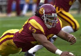 They're both polynesian strong safeties who played at usc. Former Usc Safety Troy Polamalu To Be Inducted Into College Football Hall Of Fame Orange County Register