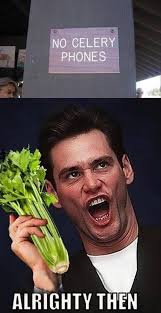 • fan page dedicated to jim carrey! Jim Carrey Funny Quotes Quotesgram