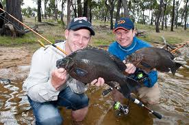 The Line Up – Simon Goldsmith