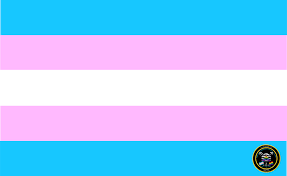 82 transparent png illustrations and cipart matching intersex. Sex Gender Diverse Flags Kaneda Yoshida