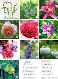 You can mix the seasonal flowers with flowers that are available all year round, such as roses, lilies, gerbera daisies, orchids, anthuriums, and other tropical flowers. Washington Seasonal Flowers Part 2 Weddingbee Do It Yourself July Flowers Wedding Flowers July Wedding Flowers