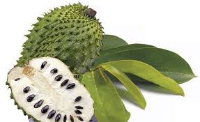 Cerita khabar angin mungkin anda percaya atau mungkin anda tidak percaya. 7 Khasiat Utama Buah Durian Belanda Yang Perlu Anda Tahu