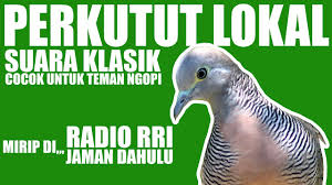 Maybe you would like to learn more about one of these? Download Suara Perkutut Rri Mp3 Mp4 3gp Flv Download Lagu Mp3 Gratis