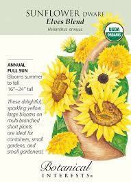 Elves Blend Sunflower Seeds 1 Gram Organic Organic Plants Sunflower Seeds Growing Sunflowers