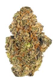 Animal Mints Strain Hybrid Cannabis Review Thc Terpenes Hytiva