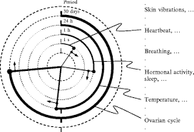 A heat detector is a fire alarm device designed to respond when the convected thermal energy of a fire increases the temperature of a heat sensitive element. Physiological Phenomena And Biosignals Springerlink