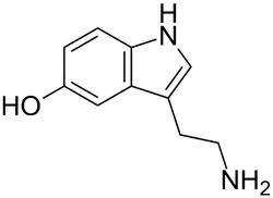 While amine oxidases detoxify the ba ingested with food, if. Lebensmittel Chemie Toxische Reaktionsprodukte Amine Eine Wichtige Stoffklasse In Der Lebensmitteluberwachung