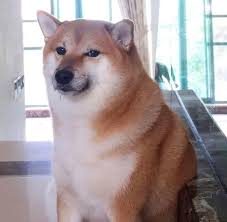 See more of doge on facebook. Original Picture Alternate Cheems Doge Doge Meme Memes