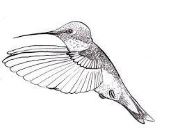 Pin On Sketch Inspiration