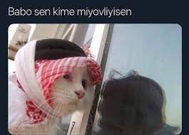 Komik Resim Animal Hayvan Funny Eglenceli Twitter Tumblr Guzel Anlamli Cute Funny Animals Animal Jokes Funny Animals