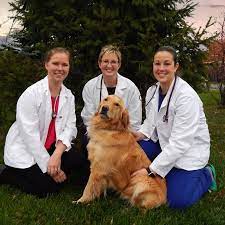 Maybe you would like to learn more about one of these? Irondequoit Animal Hospital Home Facebook