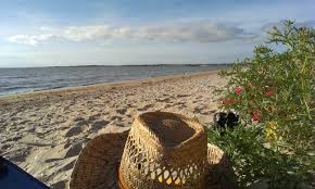 Plage De Saint Froult Charente Maritime Maritime Barque