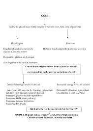 cureus probable potential role of urate transporter genes