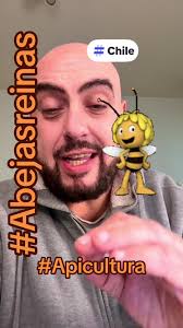 Apiculturachile