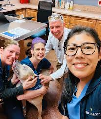 Way to go, Frankie! You've graduated from chemo this week like a rockstar  🌟 Dr. Sanchez and our entire team are so incredibly proud of you and your  amazing strength. Congratulations!