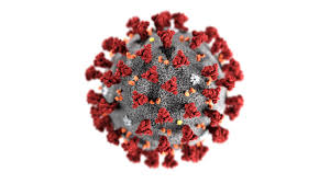 March 22, 2021, 09:42 gmt. What Do You Call The Disease Caused By The Novel Coronavirus Covid 19