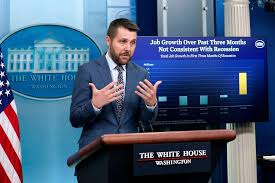 Image result for Dark Blue 1990 US Government