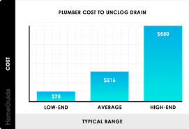 2021 cost to snake a drain plumber