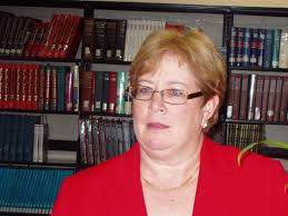 palmer public schools