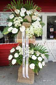 We did not find results for: Standing Arrangement Of Anthurium Mums Orchids Sympathy Funeral Flowers Flower Patch Online Flower Delivery Phillippines