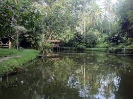 Wisata alam argo puro di rumbai pekanbaru. Argopuro Multifarm Outbound Adventures Facebook