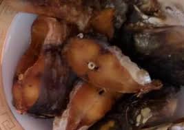 Perpaduan aneka bumbu dan rempah seperti kemiri, kunyit, jahe, lengkuas, dan serai, . Resep Ikan Patin Goreng Yang Renyah