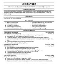Best Direct Support Professional Resume Example Livecareer