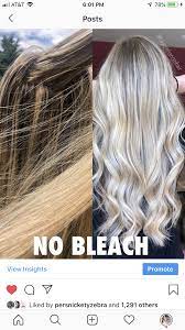 No Bleach Color Correction Bleached Hair Color Correction Hair