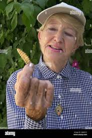 Leida hi-res stock photography and images