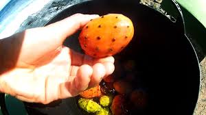 Raspe las hojas de cactus con un cuchillo para quitar las espinas de cactus. Como Quitar Las Puas Y Pelar Los Tunos O Higos Chumbos Youtube