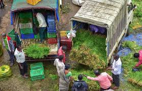 There is also a weekly dinner with all the guest where they cook a traditional seychelles dinner which is a unique experience. News In Pics 19 October 2020 Photos Of Top News Today Oneindia
